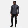 Miniatyrbilde 4 av 4: Regatta Mens Tourer Hybrid Jacket