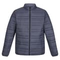 Miniatyrbilde 1 av 3: Regatta Mens Firedown Padded Jacket