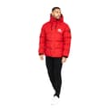 Miniatyrbilde 3 av 3: Born Rich Mens Bacuna Padded Jacket