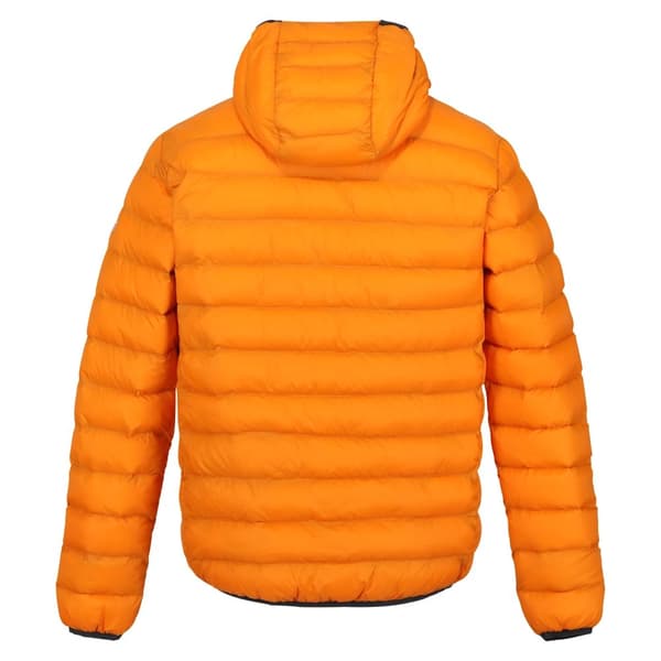 Regatta Mens Marizion Baffled Hooded Padded Jacket