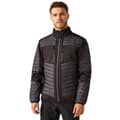 Miniatyrbillede 3 af 4: Regatta Mens E-Volve Thermal Hybrid Jacket