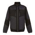Miniatyrbillede 1 af 4: Regatta Mens E-Volve Thermal Hybrid Jacket
