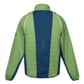 Pikkukuva 2 / 4: Regatta Mens Steren II Softshell Hybrid Jacket