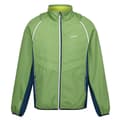 Pikkukuva 1 / 4: Regatta Mens Steren II Softshell Hybrid Jacket