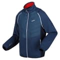 Pikkukuva 3 / 4: Regatta Mens Steren II Softshell Hybrid Jacket