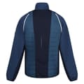 Pikkukuva 2 / 4: Regatta Mens Steren II Softshell Hybrid Jacket