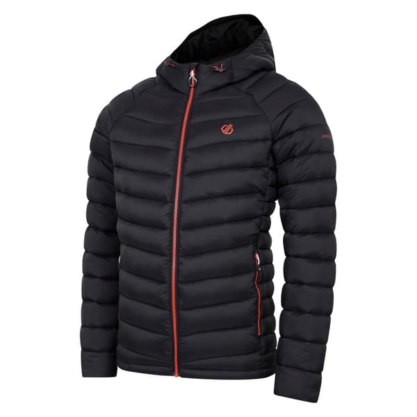 Dare 2B Mens Torrek Mountain Baffled Padded Jacket