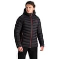 Pikkukuva 4 / 4: Dare 2B Mens Torrek Mountain Baffled Padded Jacket