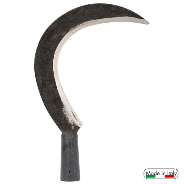 RONCOLA SCANSANO VERDEMAX