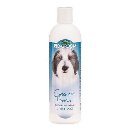 Bio-Groom Groom N Fresh Shampoo, 12 oz