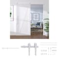 Miniatyrbillede 1 af 8: The Living Store skinnesæt til skydedør 183 cm stål hvid -  Dørkarme