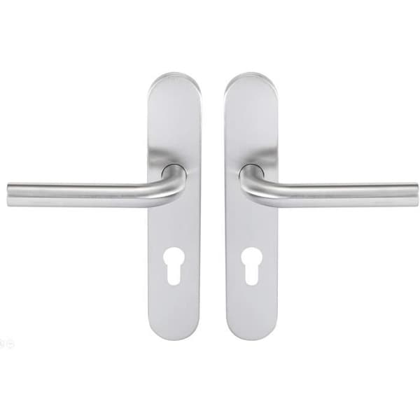 Set med handtag i INOX på Tempo Pop-platta för Bricard 666458 ytterdörr