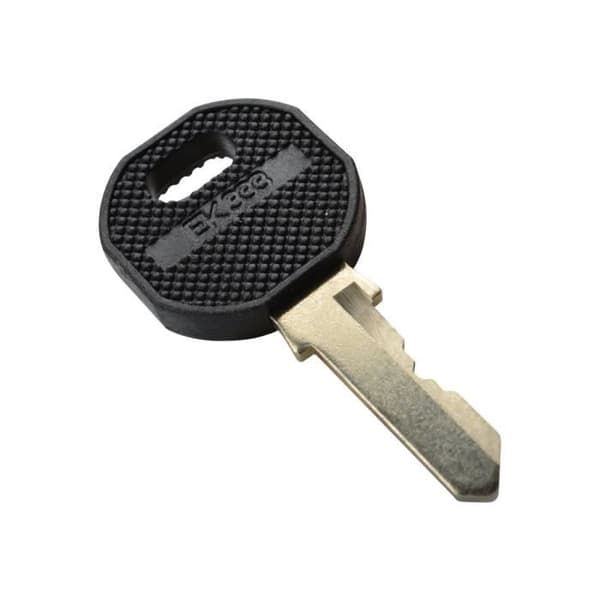 DIGITUS Professional DN-19 KEY-9473 - Racksäkerhetslåsnyckel