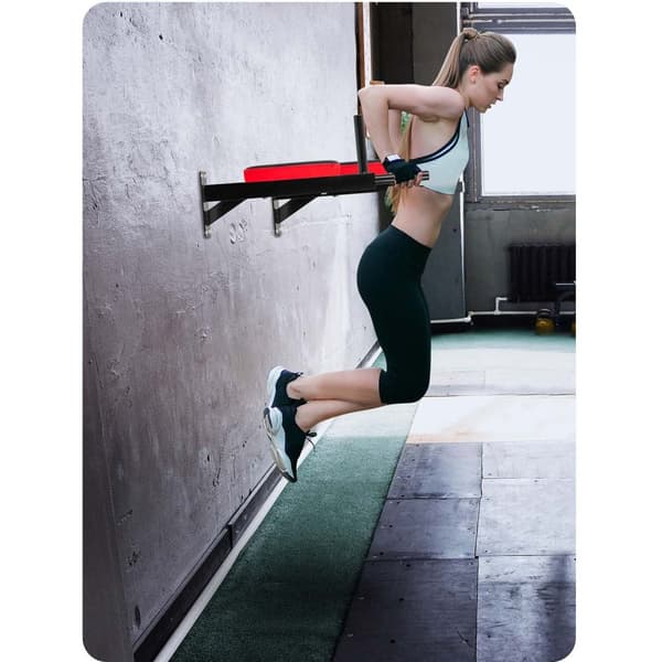 NS-318 Wall Dip Bar