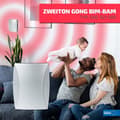 Miniatyrbild 2 av 4: Sonnette - klockspel - kit för dörrklocka Zamel - SUN10000417 - BIM-BAM tvåfärgad gong 230V silver GNS-921-SRB