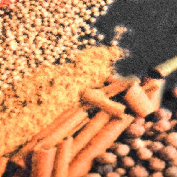 vidaXL Kjøkkenteppe vaskbart Spice 60x300 cm