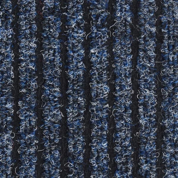 vidaXL Dörrmatta blårandig 80x120 cm