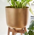 Miniatyrbillede 4 af 7: Rootz urtepottesæt med 2 metal - plantekasser i massivt træ guld med fødder - Design plantekrukke rund - Urtepottepotte