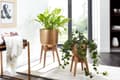Miniatyrbillede 6 af 7: Rootz urtepottesæt med 2 metal - plantekasser i massivt træ guld med fødder - Design plantekrukke rund - Urtepottepotte