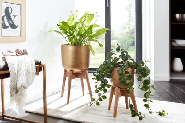 Rootz urtepottesæt med 2 metal - plantekasser i massivt træ guld med fødder - Design plantekrukke rund - Urtepottepotte