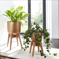 Miniatyrbillede 1 af 7: Rootz urtepottesæt med 2 metal - plantekasser i massivt træ guld med fødder - Design plantekrukke rund - Urtepottepotte