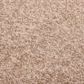 Pikkukuva 6 / 7: vidaXL Ovimatto beige 60x80 cm -  Kynnysmatot