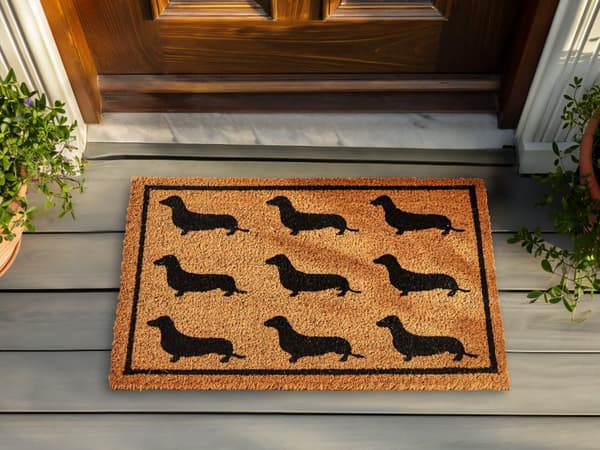 Dørmåtte Kokos Brun 40 x 60 cm Udendørs Måtte til Entre med Gravhunde Mønster Skomåtte med Gummibagside Skridsikker Kokosmåtte