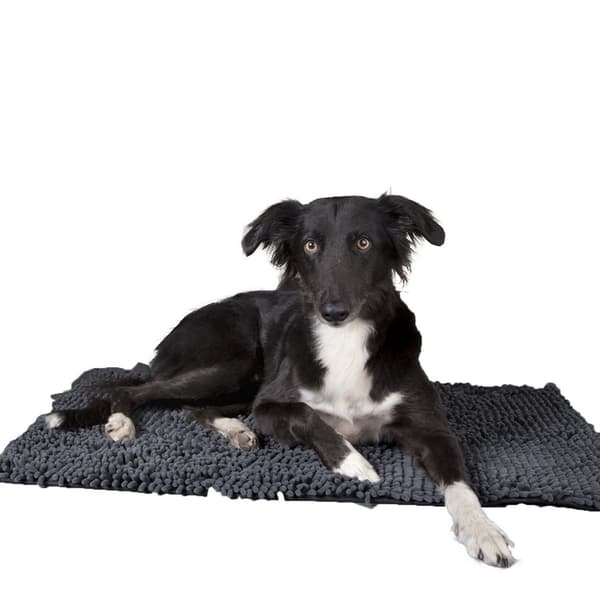 Scruffs Noodle hundtorkmatta