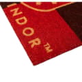 Miniatyrbild 2 av 4: Harry Potter Gryffindor doormat