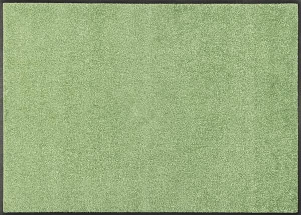 Paillasson Lime Lagoon Tvättbar smutsmatta i olika storlekar wash+dry Trend-Färg Dimensioner 90 x 60 cm