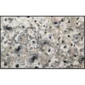 Miniatyrbild 1 av 4: Paillasson Light Blossom Tvättbar smutsmatta olika storlekar wash+dry Design Dimensioner 120 x 75 cm