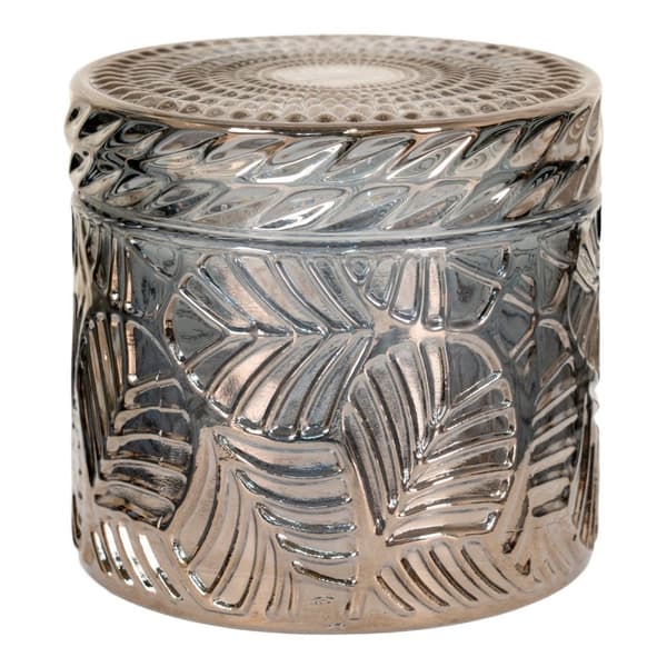 Rootz Decorative Jar Set - Glasbehållare - Rökt glasbehållare - Elegant heminredning - Ø9x8.5 cm