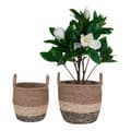 Pikkukuva 3 / 6: Rootz Lima Seagrass -korikorisarja - koristeelliset korit - säilytyskorit - luonnollinen tyyli - 28x28x28cm & 33x33x31cm