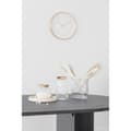Miniatyrbild 5 av 6: Rootz Clear Glass Vase - Flower Holder - Dekorativ vas - Versatile Decor - 20x9x19.5 cm