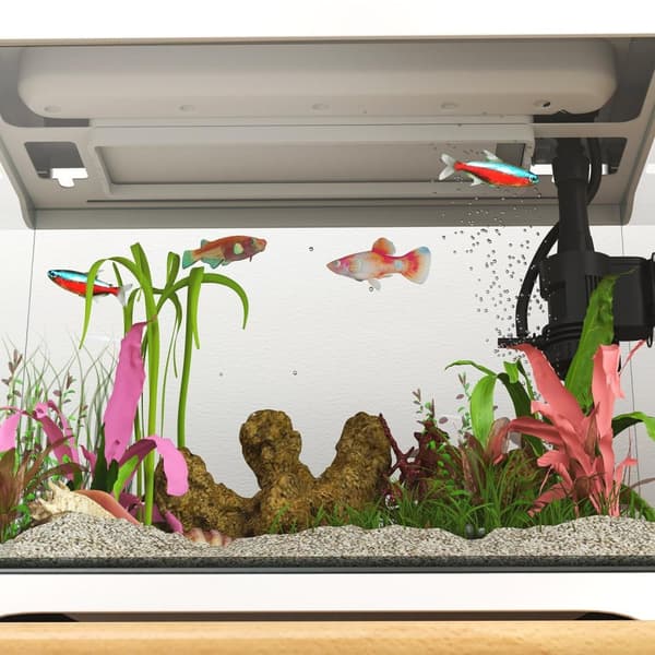 Rootz 17L Tropical Aquarium - Fish Tank - LED Light Aquarium - Nem vedligeholdelse - 35 cm x 21 cm x 31 cm