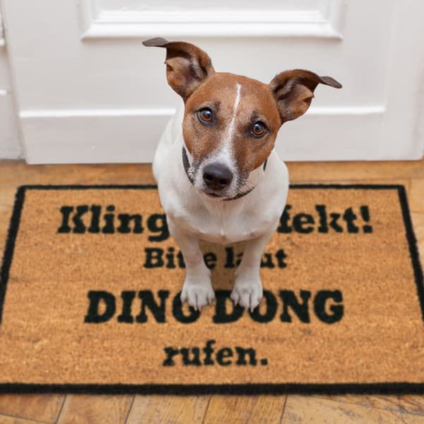 Dörrmatta - RELAXDAYS - 10023846 - Kokosfiber - Halkfri - 40 x 60 cm