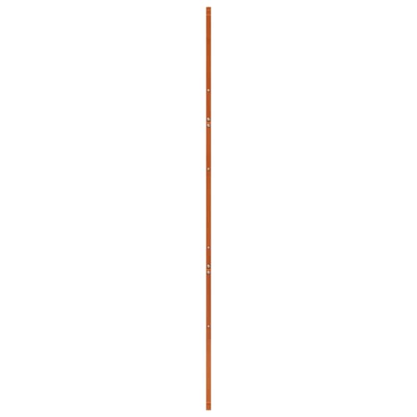 skydedør 100x208 cm massivt fyrretræ gyldenbrun