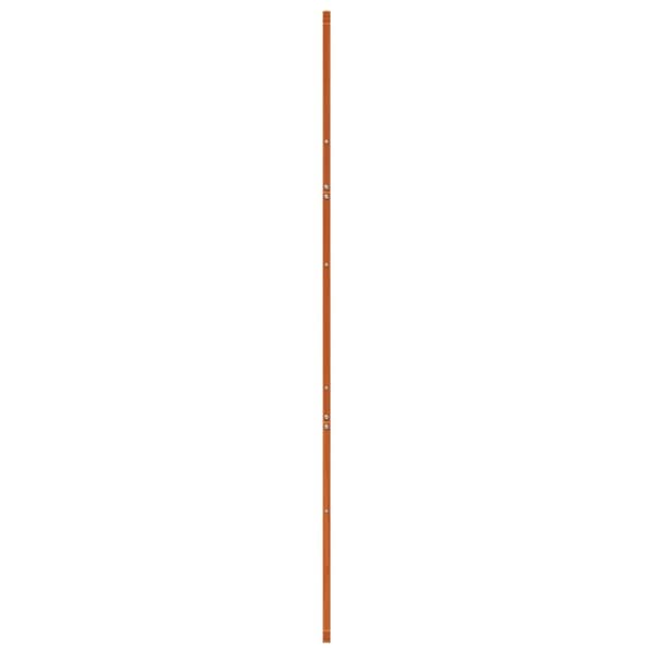 skydedør 80x208 cm massivt fyrretræ gyldenbrun