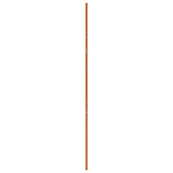 skydedør 100x208 cm massivt fyrretræ gyldenbrun