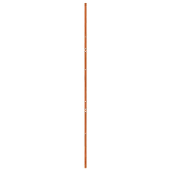 skydedør 80x208 cm massivt fyrretræ gyldenbrun