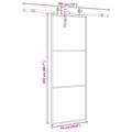 Miniatyrbild 10 av 10: vidaXL Skjutdörr med beslag svart 76x205 cm ESG-glas
