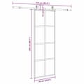 Miniatyrbild 10 av 10: vidaXL Skjutdörr med beslag svart 76x205 cm härdat glas