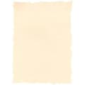 Miniatyrbild 1 av 2: Parchment paper Michel A4 25 Pieces