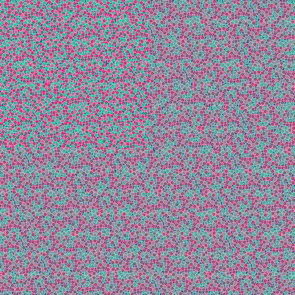 Papier Blomma Kraft Symbol hippie