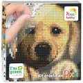 Miniatyrbild 1 av 2: Kreativkit - PIXEL - Tavla 12 x 12 cm - Hund - 3D - Blandat - Från 5 år