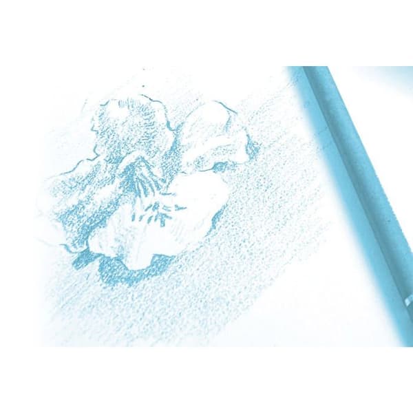 Papier a dessin Clairefontaine - 96624AMZC