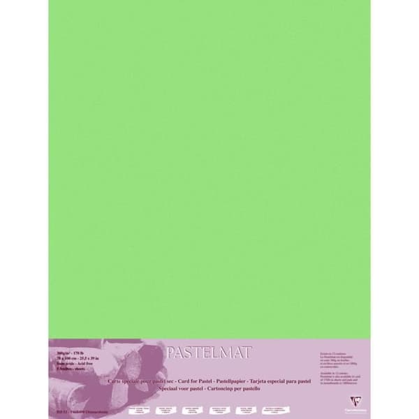 Clairefontaine 96158C Paquet Papper Pastelmat - 5 Ark Specialpapper för Torrpastel - Ljusgrön