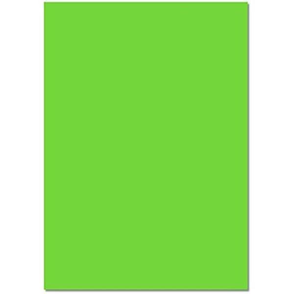 Kartongblad - FOLIA BRINGMANN - 220 g/m² - 50 x 70 cm - 25-pack - Ljusgrön