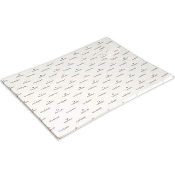 Canson ritpapper - 200408043 - Vitt akvarellpapper 50 x 70 cm 350 g/m 25 enheter