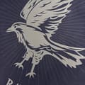 Miniatyrbild 2 av 2: Bomullskudde 50x50cm modell Ravenclaw Sparkle A - BL BELUM - Blå
